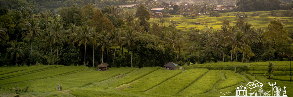 Gagasan dan Inovasi Desa