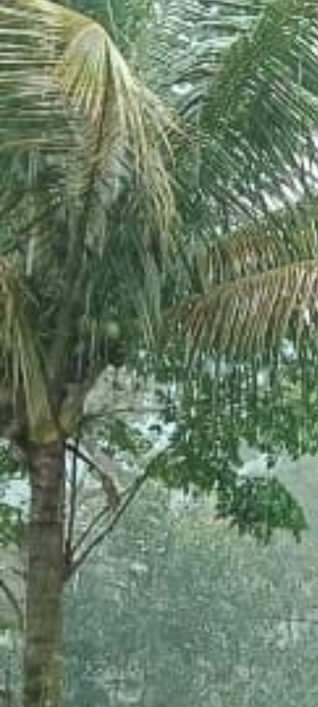 Produk ala ala